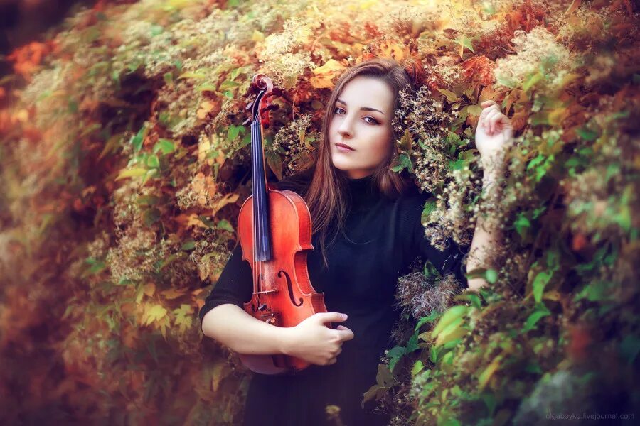 Осенняя скрипка. Autumn Violin. Violin in autumn.