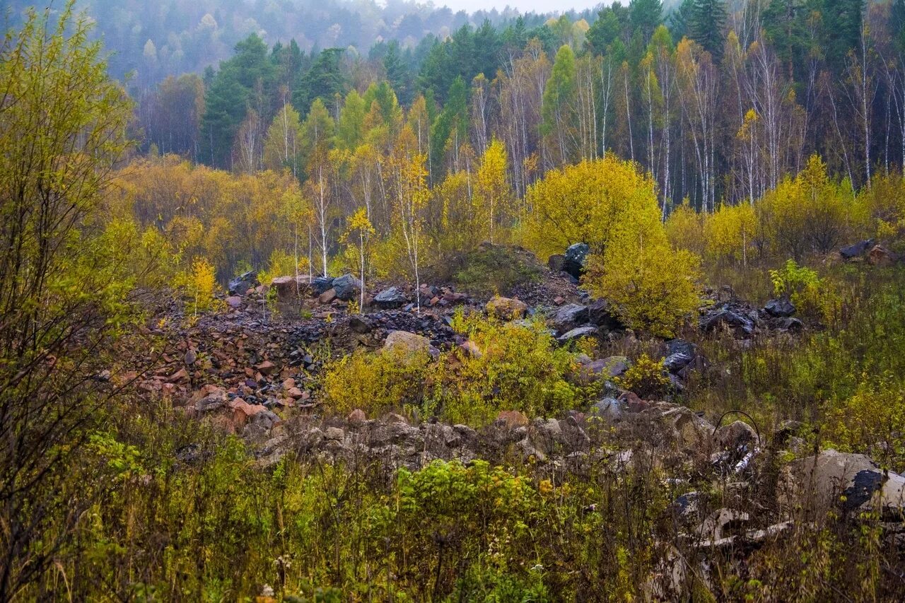 Дом в болотном. Гора жуткая красноярск. Дом в болотном. Болото в красноярске. Болото красноярского края.