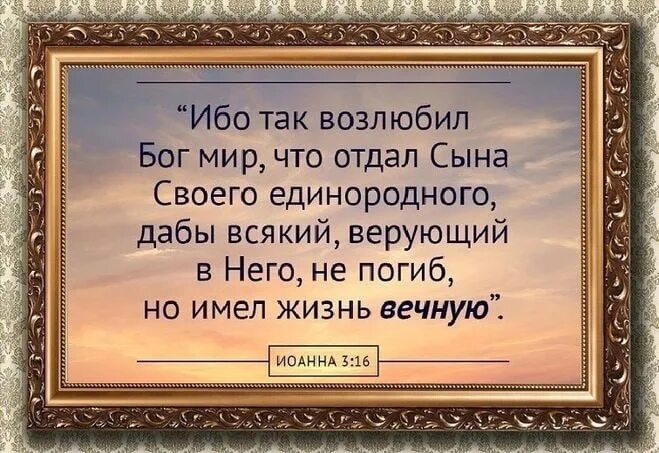 Ибо так возлюбил бог мир что отдал сына своего. 3 16 библия. Основа методизма библия. Ибо так возлюбил бог мир библия. 3 16 библия.