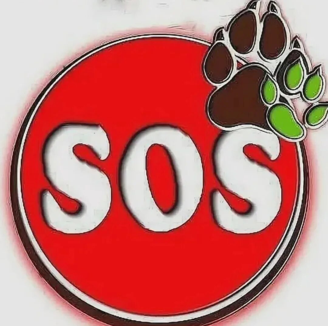 Иконка sos. Иконка sos. Sos логотип. Sos aerne. Надпись sos.