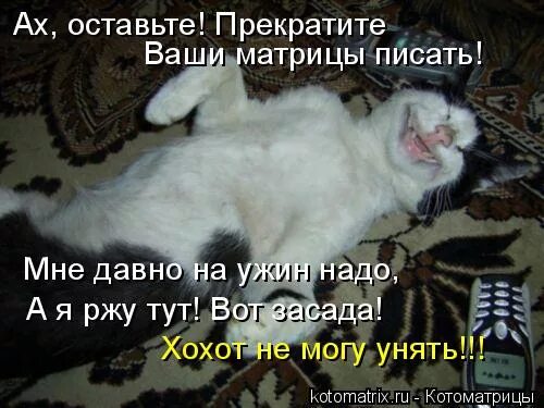 ах оставьте картинки. ах поручик оставьте рисунок. ах. ах останься. ой вы меня смущаете.