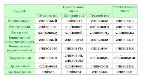 Столяр множественное число именительный