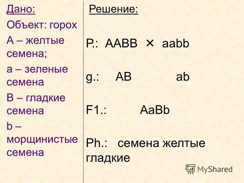 AABB, AABB, AABB горох желтый зеленый гладкий морщинистый. При скрещивании желтого гладкого и зеленого морщинистого гороха в f1. При скрещивании желтого гладкого и зеленого морщинистого. F1 AA BB желтые гладкие семена x.