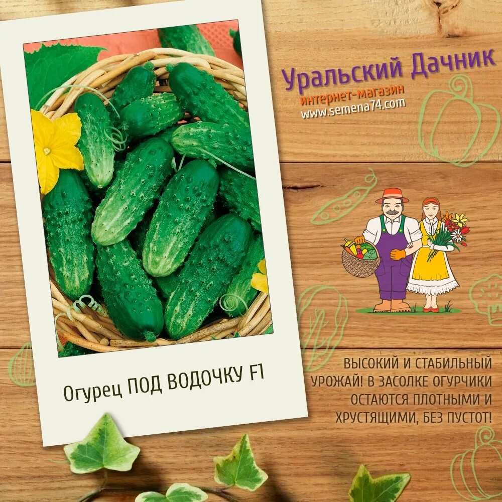 Уральский дачник логотип. Уральский дачник. Уральские семена. Капуста чудо ультрараннее f1. Магазин семена 74 уральский дачник.