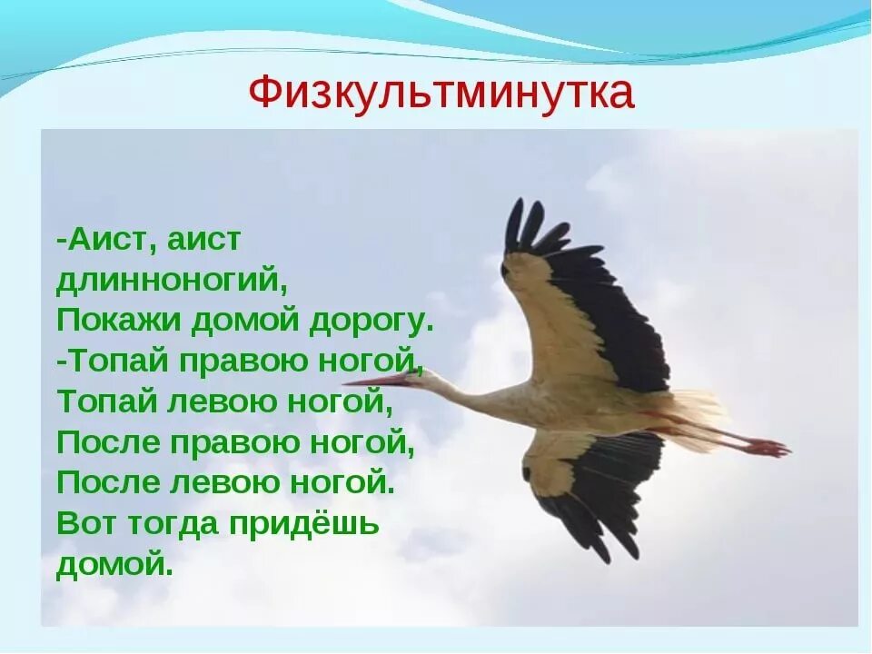 Стишок про аиста. Стихотворение про аиста. Детские стихи про аиста. Физминутка Аист. Загадка про аиста