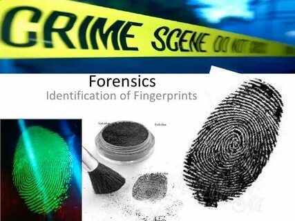 Fingerprint identification