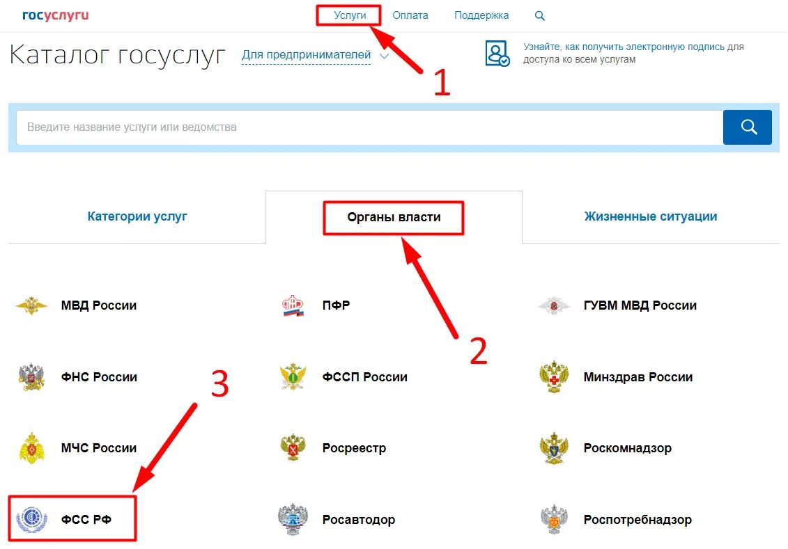 Фсс зарегистрироваться как работодатель. Госуслуги ФСС. Регистрация ФСС через госуслуги. Регистрация ИП В качестве страхователя в ФСС через госуслуги. Как через госуслуги подать заявление в ФСС.