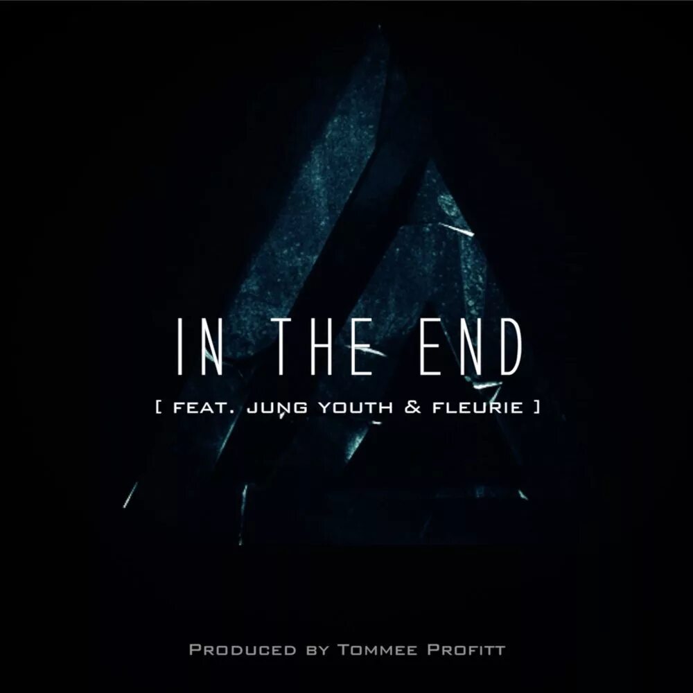 I tell end. Tommee Profitt, Fleurie, Jung Youth - in the end обложка. In the end. Томми профит in the end. Linkin Park in the end.