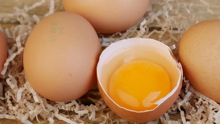 Яичный белок. Заменитель яиц. Веганский заменитель яиц. Желток страусиного яйца. Включи яйца 1
