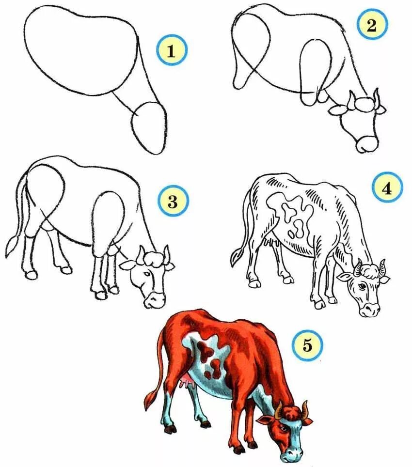 Уроки рисования для начинающих поэтапно. Рисование животных. Рисунки животных. Рисование животных пошагово. Уроки рисования животных для детей.
