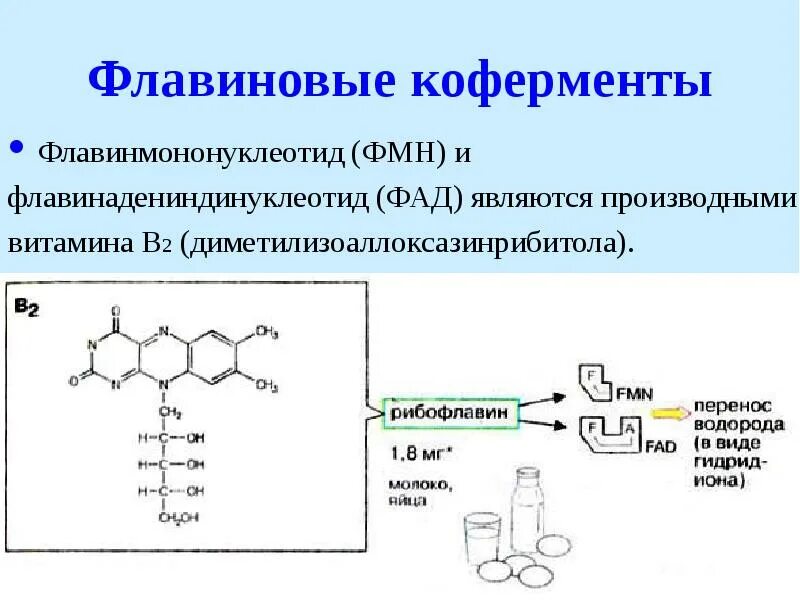 Ферменты коферменты витамины. ФАД производное витамина в2. Кофермент витамина в2. Структура кофермента витамина в2. FMN кофермент.