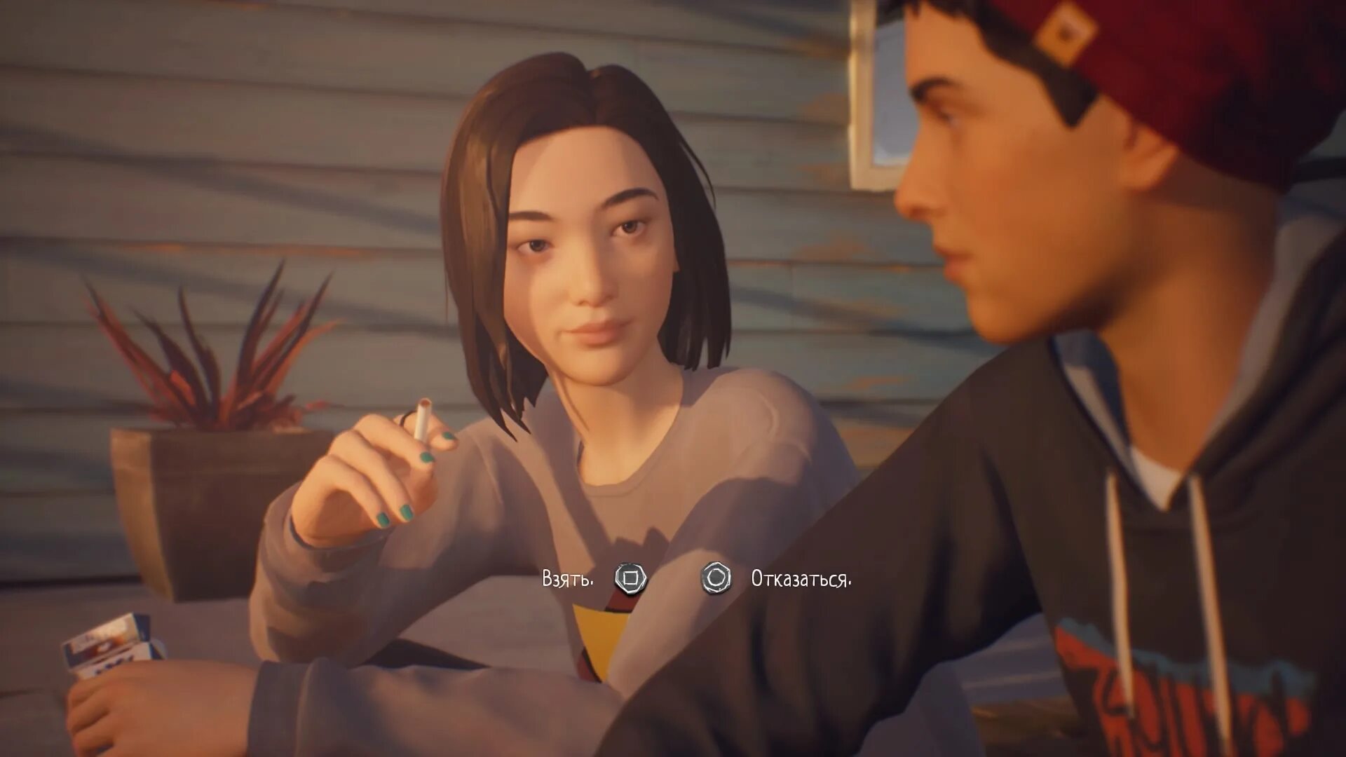 Life in strange 2. Лайла парк Life is Strange 2. Life is Strange 2 Шон и Кэссиди. Life is Strange 2 Шон и Лайла. Кесседи лайв из Стрендж.