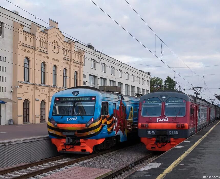 Туту электрички выборг. Эд4м Выборг. Выборг электричка. Поезд Выборг Москва. Выборг поезд.