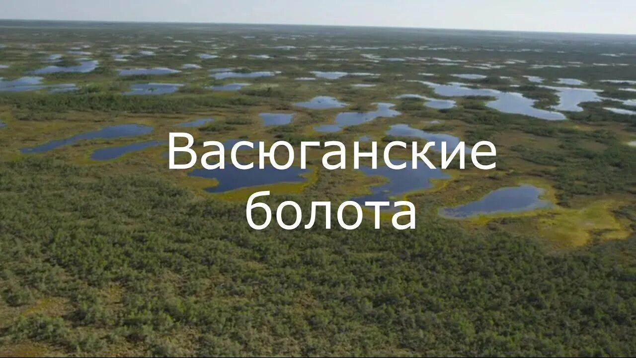 Васюганские болота субъект рф. Васюганские болота, Западная Сибирь. Карта Сибири Васюганское болото. Болота Западно сибирской равнины. Васюганское болото на карте России.