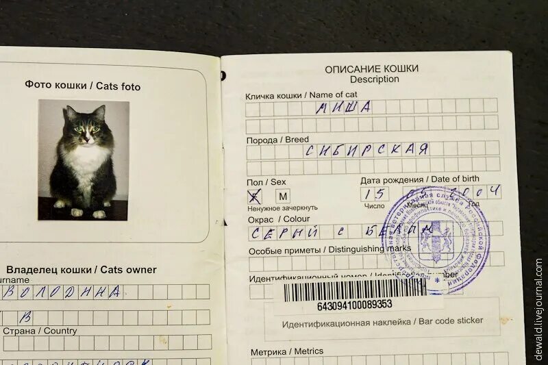 Номер 1 для животных. Номер 1 для животных