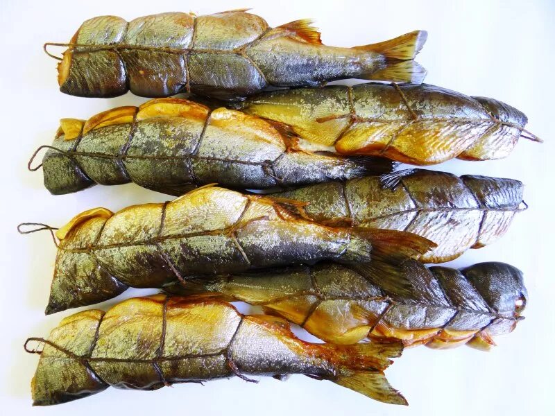 красноглазка горячего копчения. цвет при копчении рыбы. терпуг рыба копченая. копченая рыба ассортимент. омуль байкальский горячего копчения.