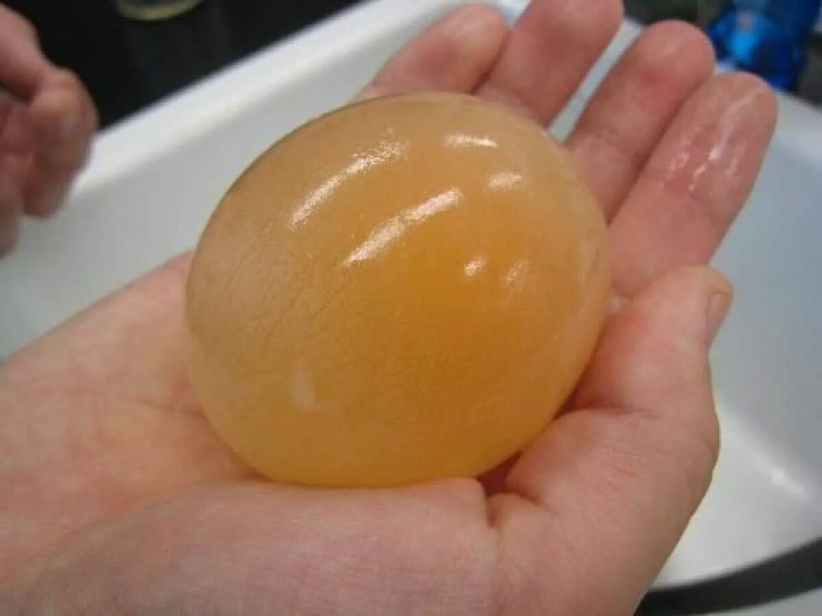 Яичная скорлупа и уксус. Резиновые яйца. Яйцо в уксусе. Резиновое яйцо эксперимент. Яйцо в уксусе эксперимент.