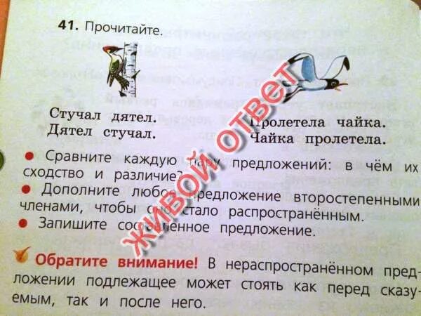 Прочитайте распространите