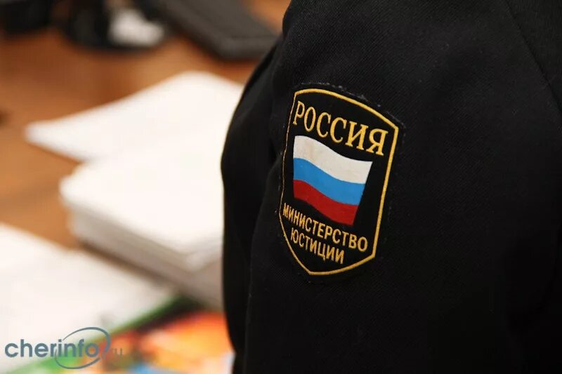 Фамилии судебных приставов череповец. Судебные приставы череповец.
