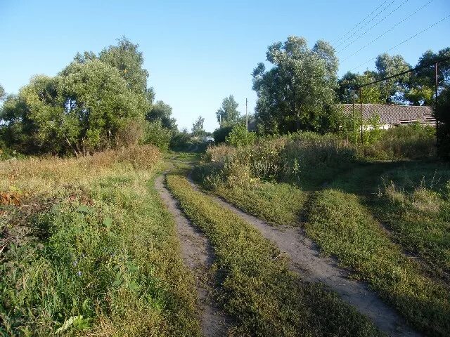 Парский угол тамбовская область. Погода парский угол. Погода парский угол. Погода парский угол. Погода парский угол.