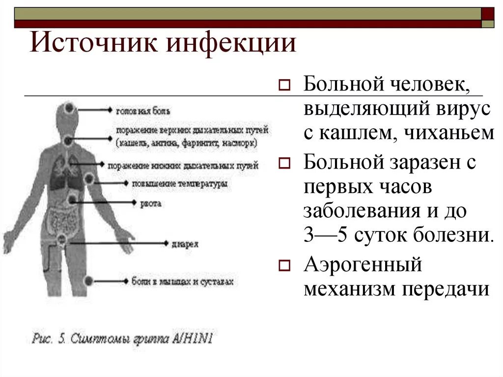 Возможные источники инфекции. Источники инфекции. Источники инфекционных заболеваний. Источники инфекции больной. Источник инфекции инфекционных заболеваний.