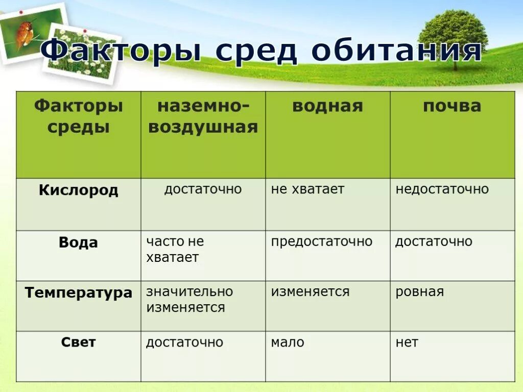 Среда обитания. Среда. Факторы наземной среды обитания. Наземно-воздушная среда обитания. Заполни таблицу группы водных организмов