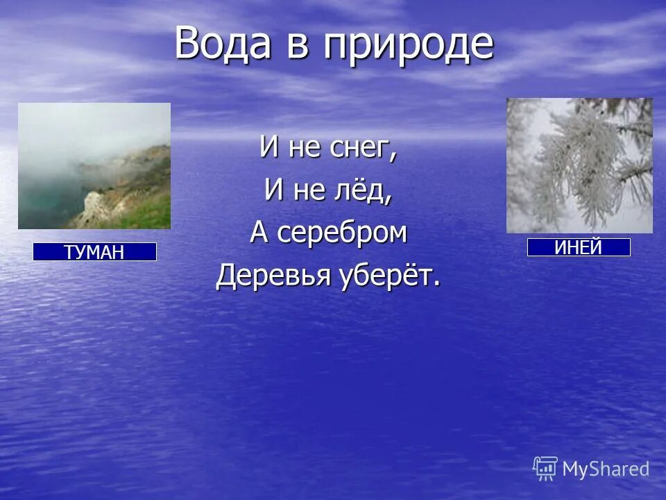 не снег не лед а серебром уберет. и не снег и не лед. снег и не лёд а серебром деревья. не снег не лед а серебром деревья уберет. не снег не лед а серебром уберет.