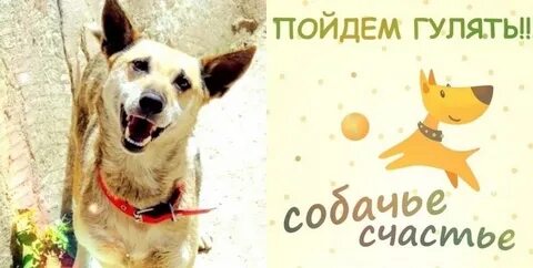 Мы пошли гулять время