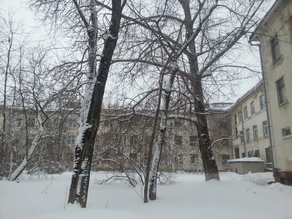 Ломоносова больница Череповец. Больница на Командарма Белова в Череповце. Больница 2 Череповец. Ломоносова 15 Череповец. Ломоносова 15 череповец телефоны