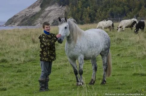 Сев на коня