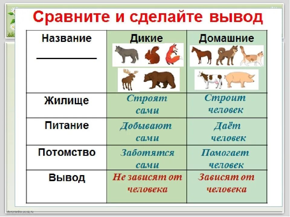 Жила 1 класса