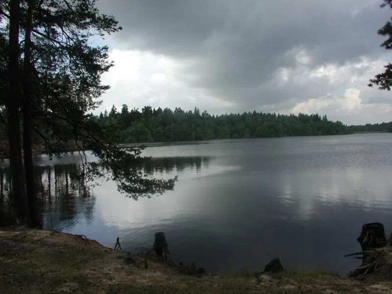 Глубокое озеро окончание. Пустынские озера глубокое. Озеро глубокое Нижегородская область пустынь. Озеро глубокое Красноярский край. Пустынь Арзамасский район озеро широкое.