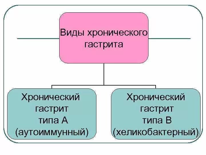 Виды и типы хронического гастрита. Хронический гастрит виды гастрита. Виды хронического гастрита