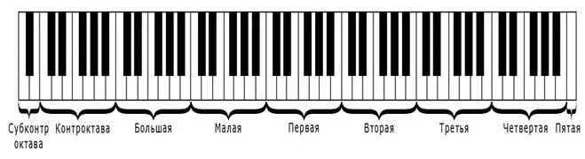 Октава высота. Клавиатура фортепиано схема 2 октавы. Клавиатура фортепиано 88 клавиш октавы. Клавиатура фортепиано 1 Октава. Размер клавиш на пианино.