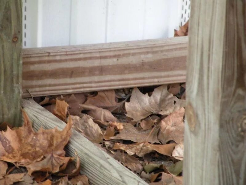 найти кота 23. найди-кота-326-330. найди кота. найдите кота. найди кота.