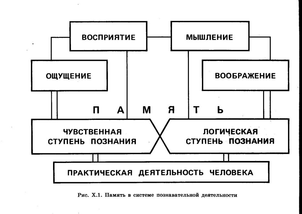 Чувственно мыслительный. Память в системе познавательной деятельности схема. Схема память в системе познавательной деятельности Гамезо. Память в системе познавательной деятельности таблица. Логическая ступень познания.