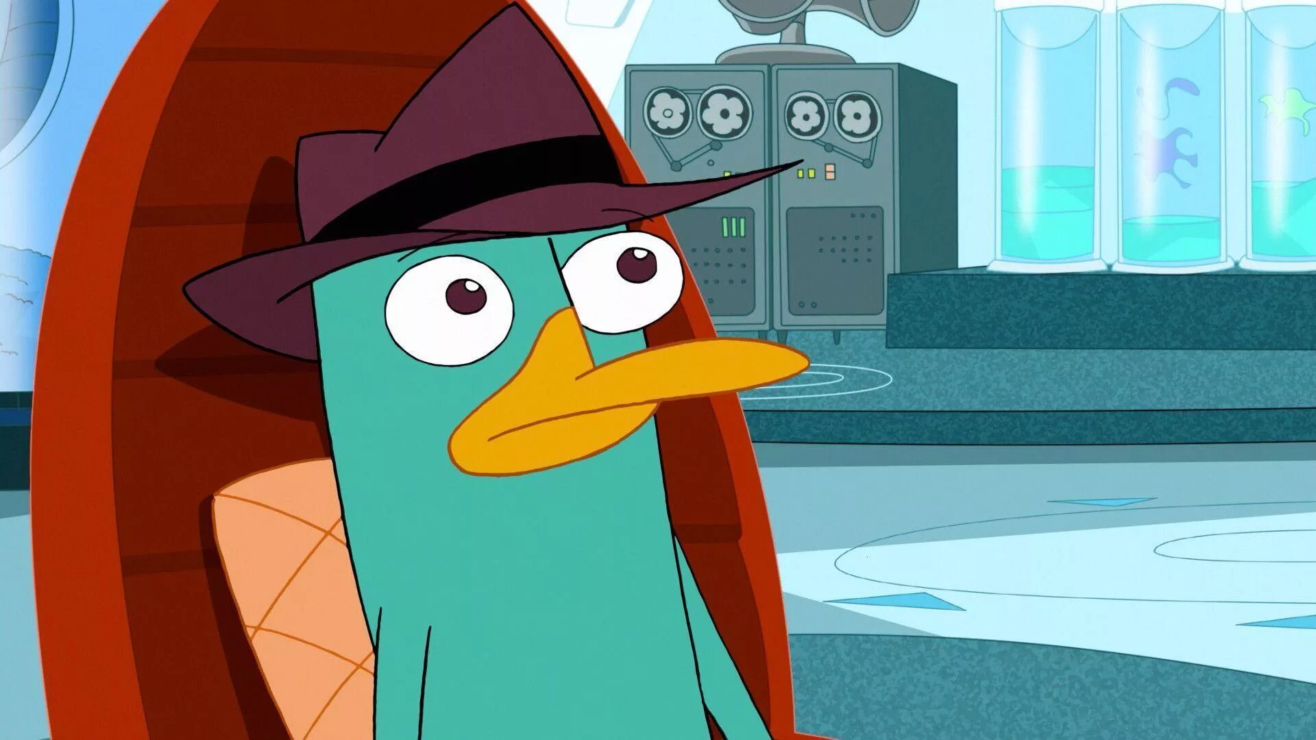 Perry the platypus