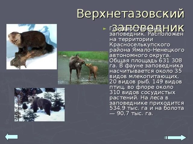 Презентация День заповедников и национальных парков