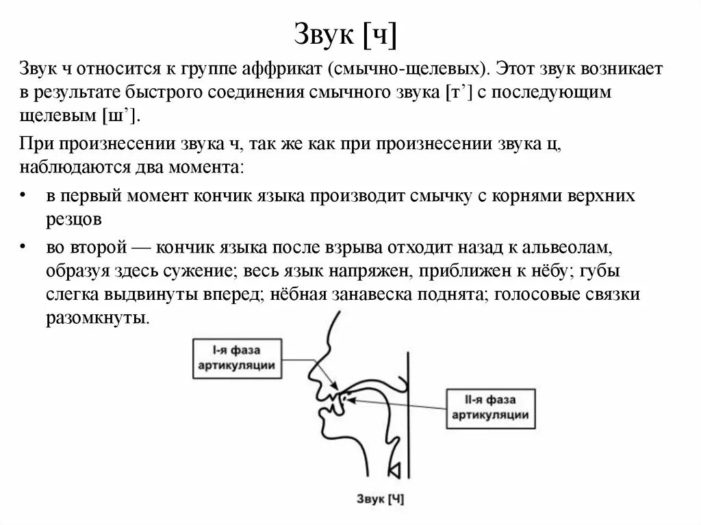 Профиль артикуляции звука ч. Положение языка при звуке ч. Схема артикуляции звука ч. Артикуляция звука ч для дошкольников. Характеристика артикуляции