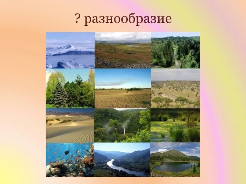 Природно климатические разнообразия россии. Разнообразие ландшафта России. Природные зоны. Природное разнообразие России. Природный коллаж.