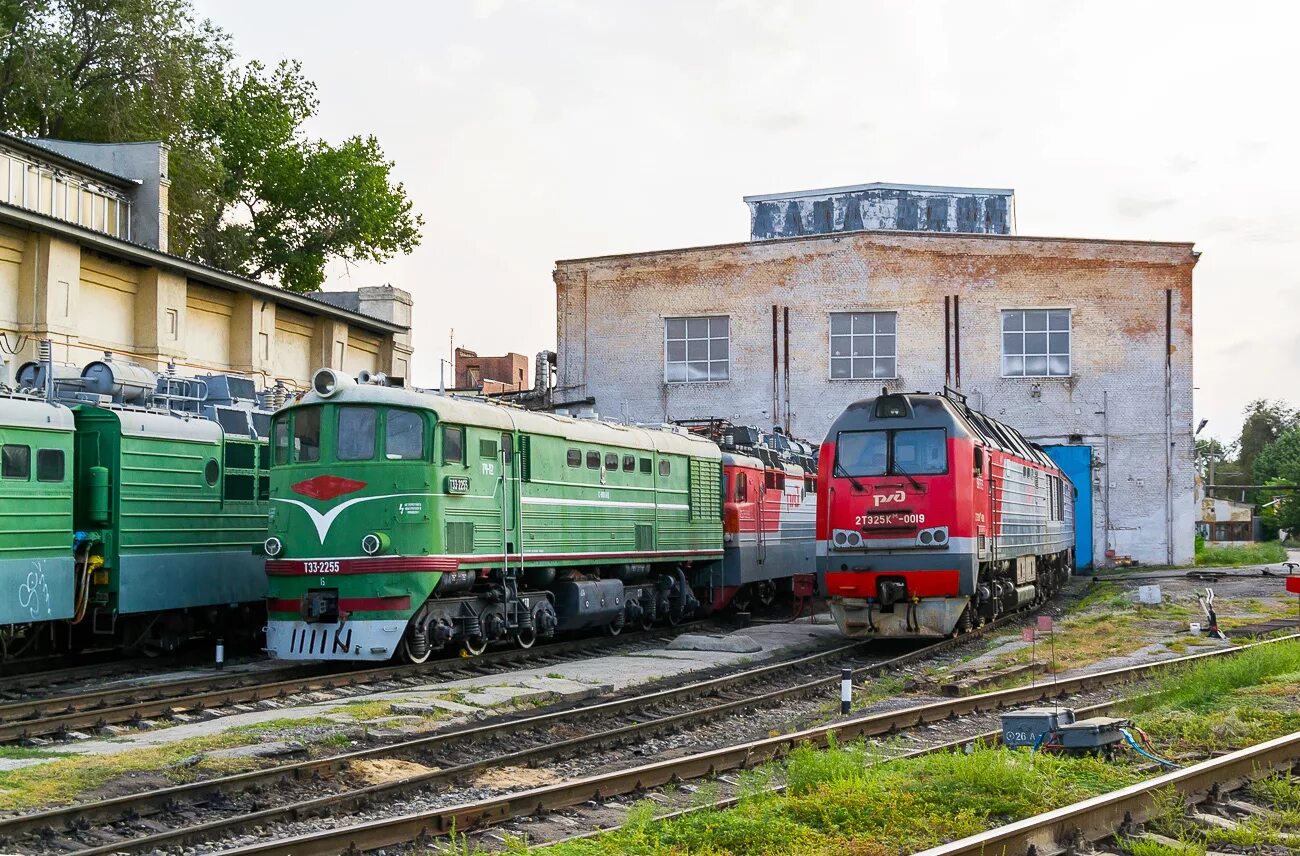 Поезд сальск петербург. Тэ3 2255. Тэ3 2255 в депо Сальск. Тэ3 депо Вязьма. Тепловоз тэ3.