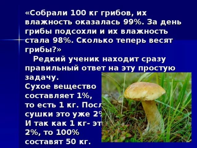 Сколько воды в сушеных грибах. Собрали 100кг грибов. Сколько весит гриб. Грибы весили 100 кг и 99% влаги. Сколько в грибах.