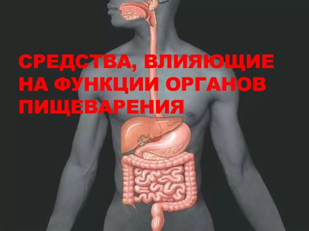 Лс влияющие на жкт. Органы пищеварения препараты. лс влияющие на функции органов пищеварения. лекарственные препараты, влияющие на органы пищеварения. лс влияющие на желудочно-кишечный тракт.