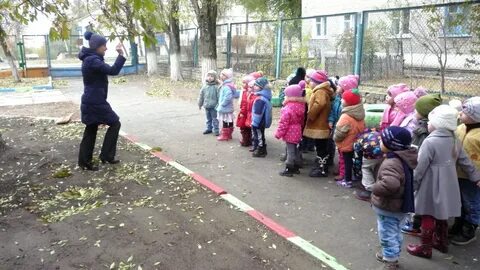 Наблюдение на прогулке ноябрь