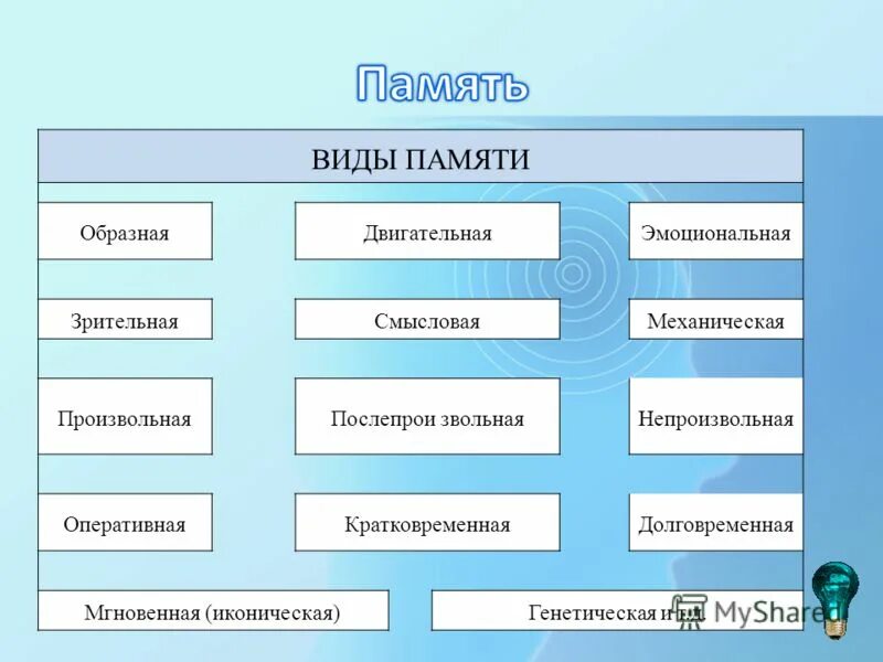 Типы памяти в психологии. Память виды памяти. Виды памяти у человека. Виды памяти двигательная. Чем отличаются виды памяти