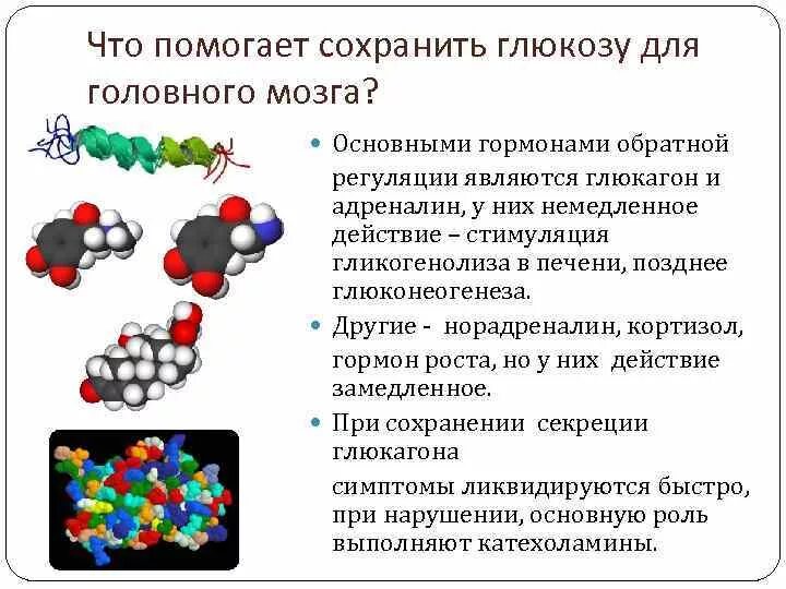 Глюкоза выполняет в организме функцию. Глюкагон при гипогликемической коме. Норадреналин влияние на глюкозу. Норадреналин гормон. Норадреналин влияет на глюкозу.