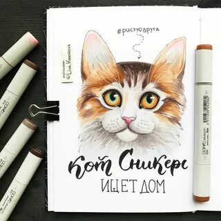 Нарисовать котика маркерами