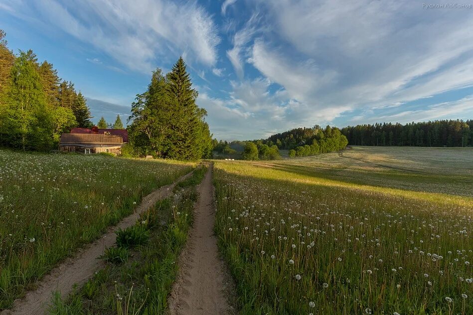 Песня деревня летом. Лето в деревне. природа деревня. сельская природа. деревенская природа.