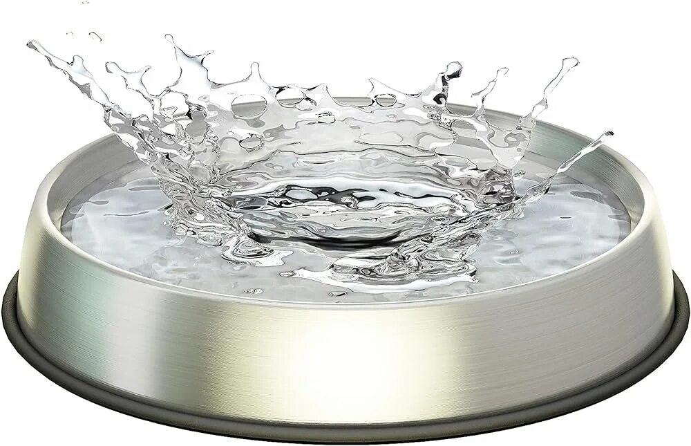 Блюдце с водой. Миска для воды для кошек. Вода в мисочке. Миска с водой. Таз с горячей водой.