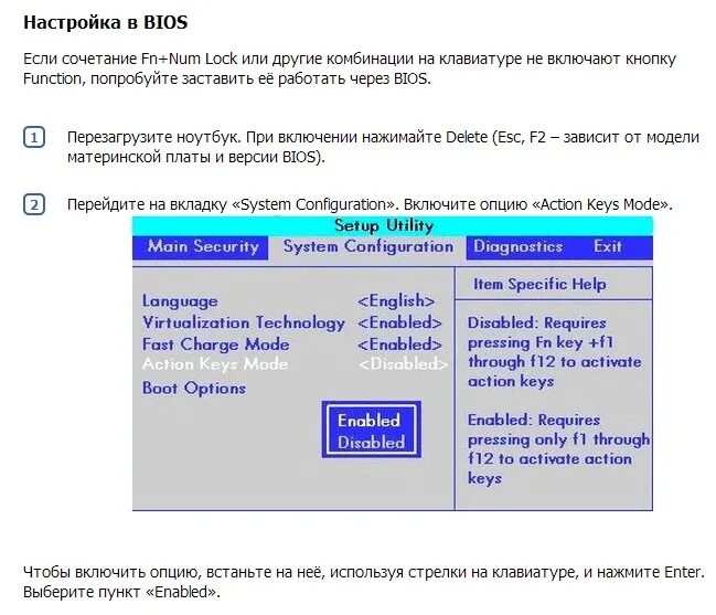 Не работает f1 f12. Не работает f1 f12
